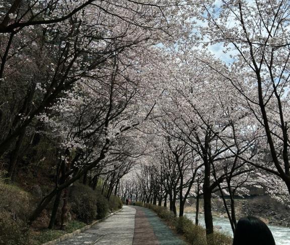 거창군, “일상 속 정신건강, 걸어서 마음속으로” 체험행사 운영
