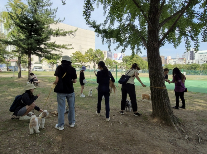 과천시, 취약가구 반려동물 의료·돌봄 지원…최대 32만 원