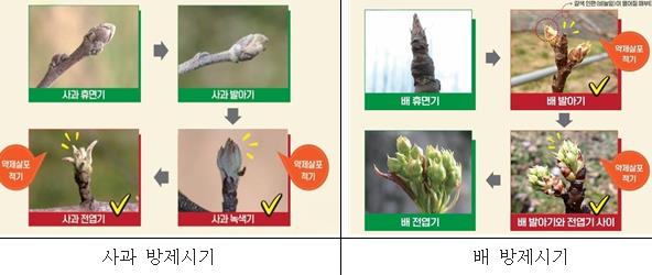 철원군, 과수화상병 피해 막기 위한 사전 예방관리 강화