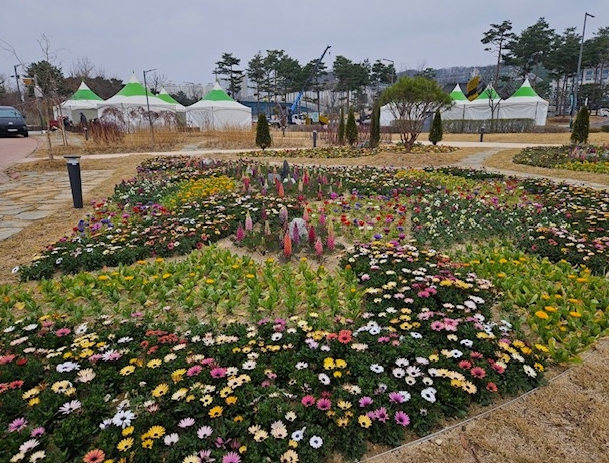 경북도, 천년숲 도민체전 앞두고 봄꽃으로 분위기 더해
