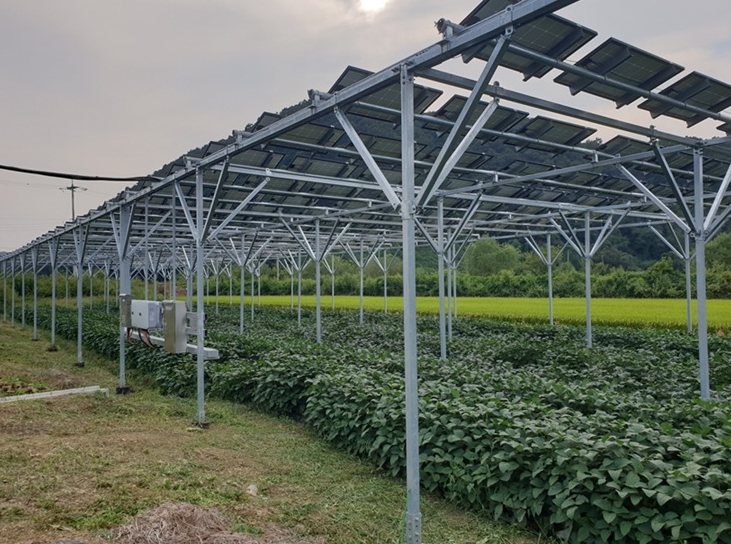 파주시, 전국 최초 '영농형 태양광 발전사업 지원 조례' 제정