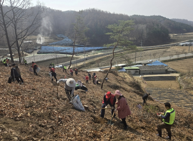 봉화군,  제81회 식목일 나무심기행사 개최