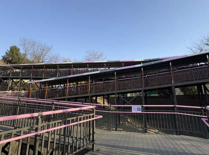 부천시, 원미산 진달래동산 '무장애 데크로드' 개방