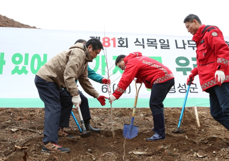 횡성군, 제81회 식목일 기념 ‘자작나무 숲’조성…산림 생태계 회복 박차