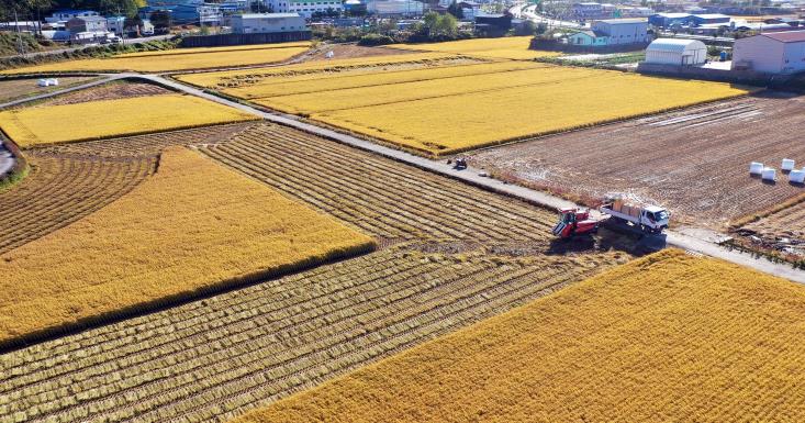 나주시, 농업인 월급제로 영농철 소득 공백 해소 나서
