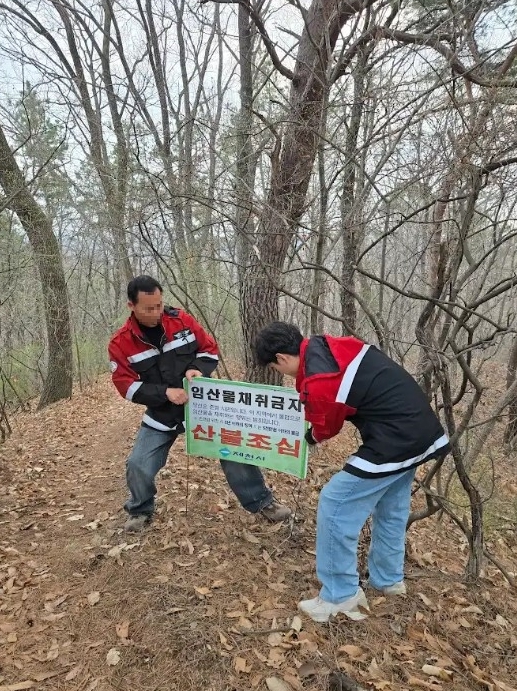 제천시, 임산물 불법 채취·산불 예방에 '강력 대응'