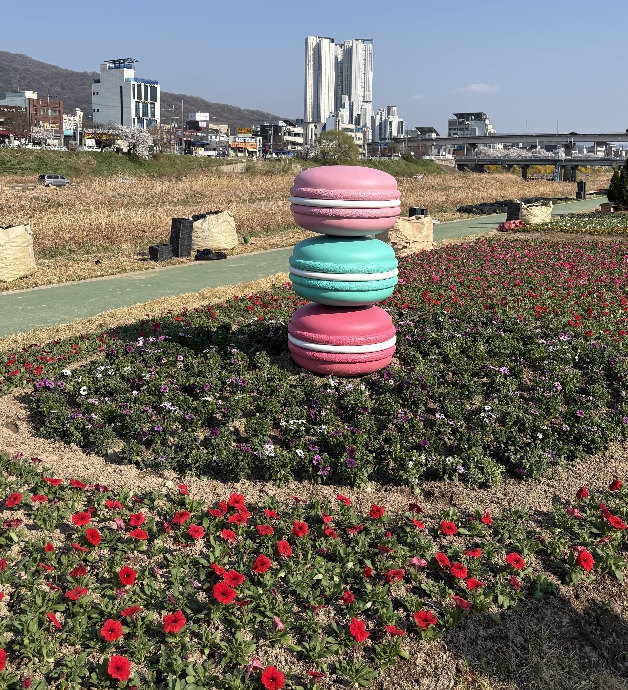 청주시, 도심 곳곳 봄꽃 활짝! 꽃의 도시 조성 박차