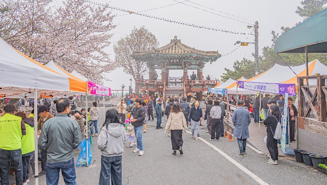 보령시, 옥마산 봄꽃 축제 성황리에 마쳐

