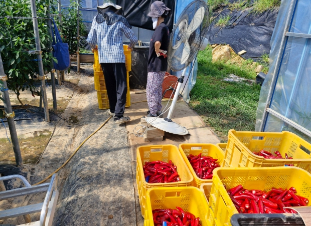 귀농, 살아보고 결정하세요! ‘거창군, 농촌에서 살아보기 참가자 모집’