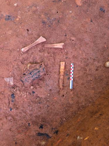 '고성 만림산 토성 발굴조사 자문위원회' 개최