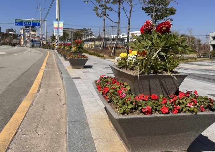 익산시, 도심 곳곳 '봄꽃 물결'