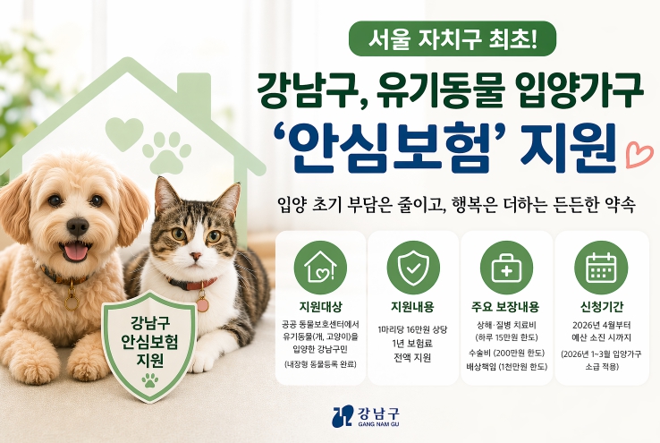 강남구, 서울 자치구 최초 유기동물 입양가구 '안심보험' 지원