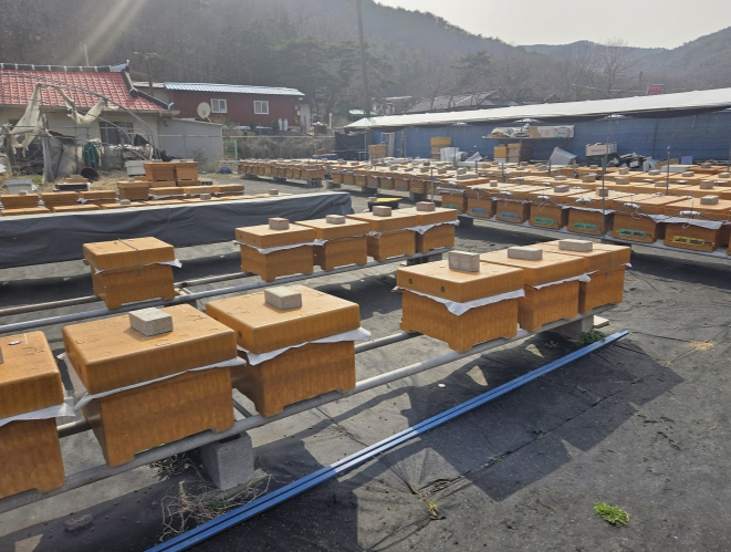 보령시, 양봉농가에 자동탈봉기 등 지원