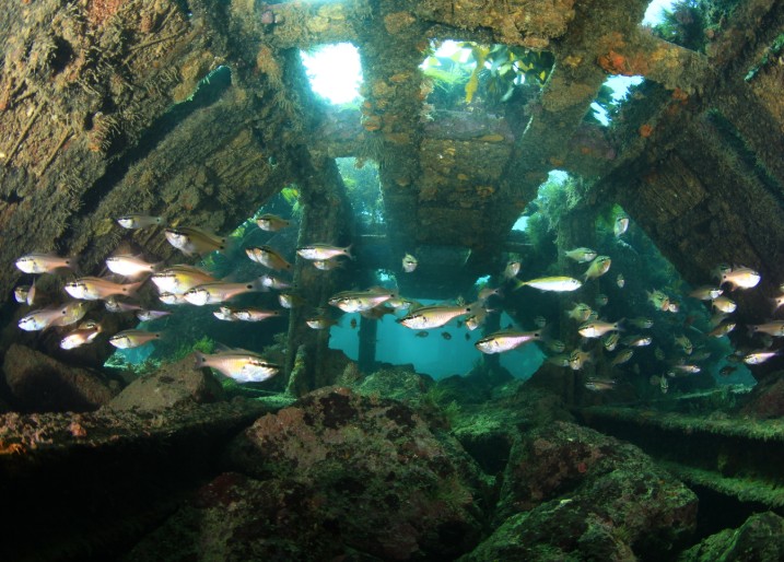 경남도, 10개 해역에 인공어초 투입...물고기 집 지었더니 어획량 2.3배