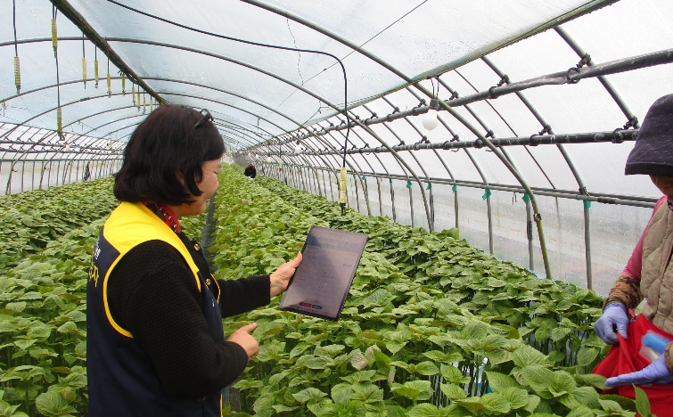 금산군농업기술센터, 110개 농가 대상 현장 안전점검