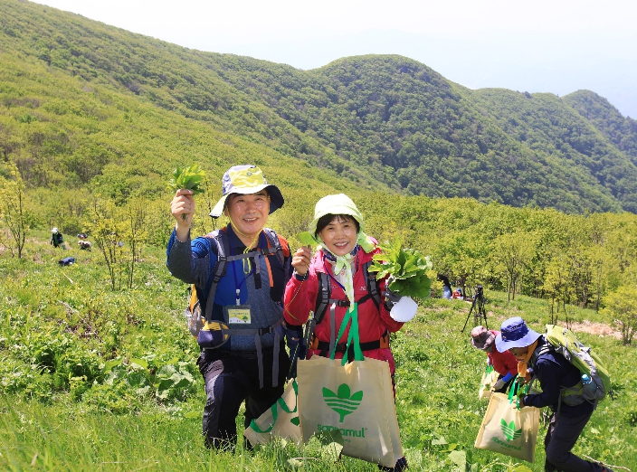 영양산나물축제, 5월 7일 개막 앞두고 준비 본격화영양산나물축제, 5월 7일 개막 앞두고 준비 본격화