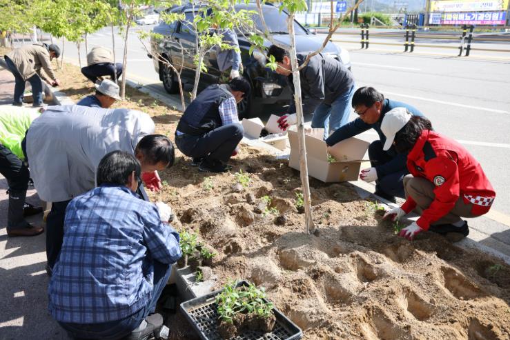 보은군, 민·관 손잡고 ‘생활권 테마화단’ 식재…도심 곳곳 보랏빛으로 채워