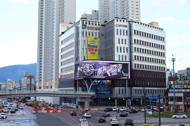 광주광역시 남구, 숲길 산책하며 ‘오디오북’ 듣는다
