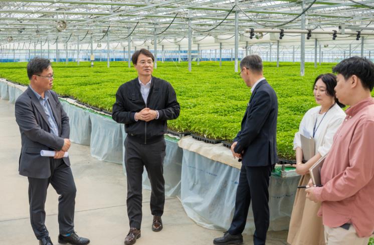 고추 명가 청양, 기후 위기 뚫고 ‘명품 우량묘’ 100만 주 공급 개시