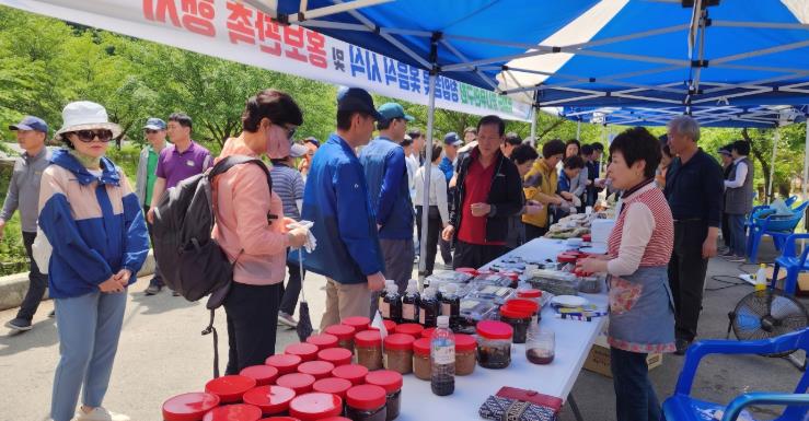 청양군 옻나무연구회, 봄의 전령 옻순 홍보행사 열어