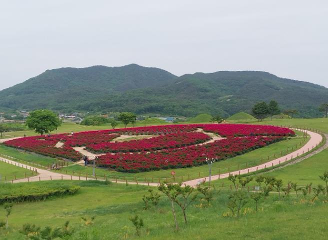 의성 조문국사적지 15일 전후로 작약꽃 개화... 5월 중순 붉은 꽃물결 장관

