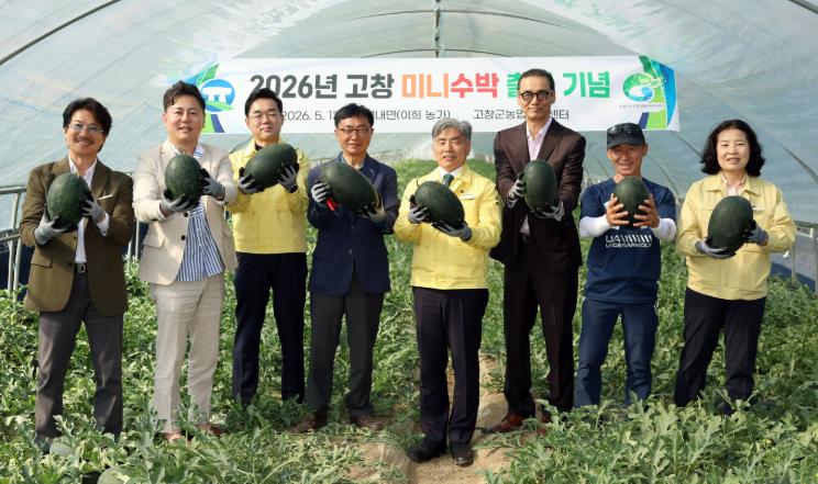 고창군, 미니수박 출하 시작.. “전국 최대규모 미니수박 산지”
