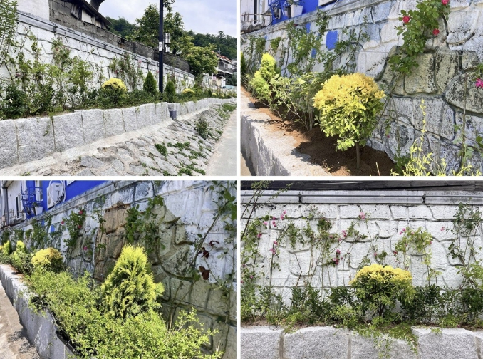 서대문구 홍제천 포방교 일대 축대 벽에 '꽃담길' 조성