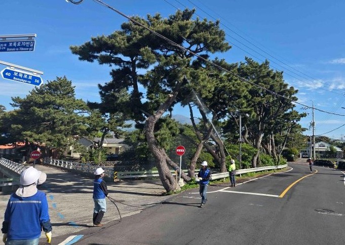 서귀포시, 산림병해충 집중 발생 시기 맞아 예찰·방제대책본부 가동