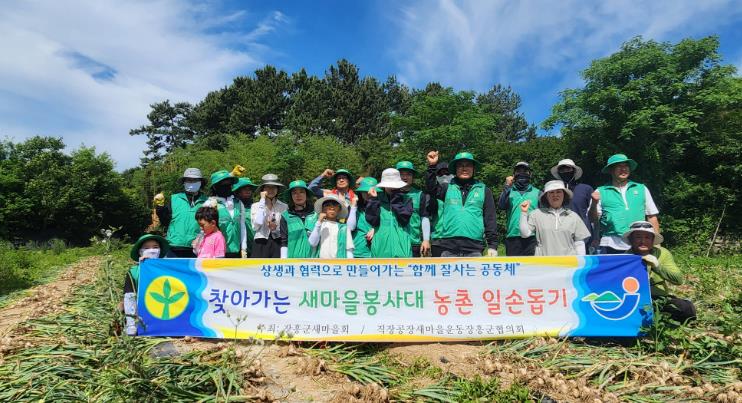 장흥군새마을회 농번기 마늘 수확 영농봉사 펼쳐
