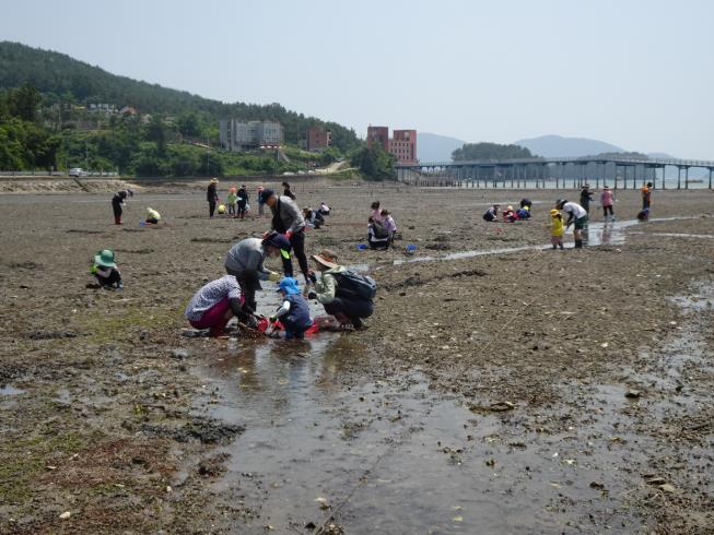 갯벌·둠벙·독수리… 고성, 자연을 온몸으로 만나는 생태여행