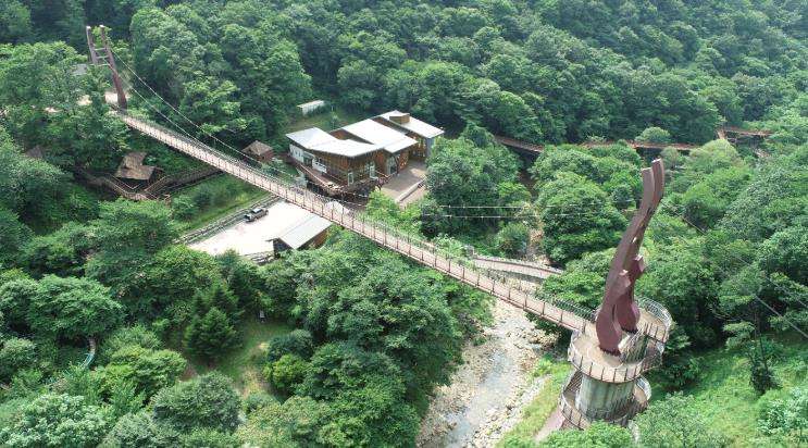 금산군, 금산산림문화타운 하늘다리 안전성 우수 확인
