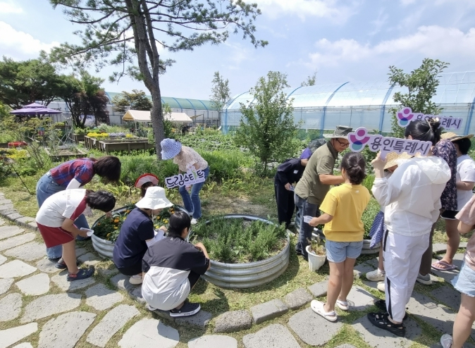 용인특례시, 드림스타트·농업기술센터와 '드림팜 마음자람 농장체험' 진행