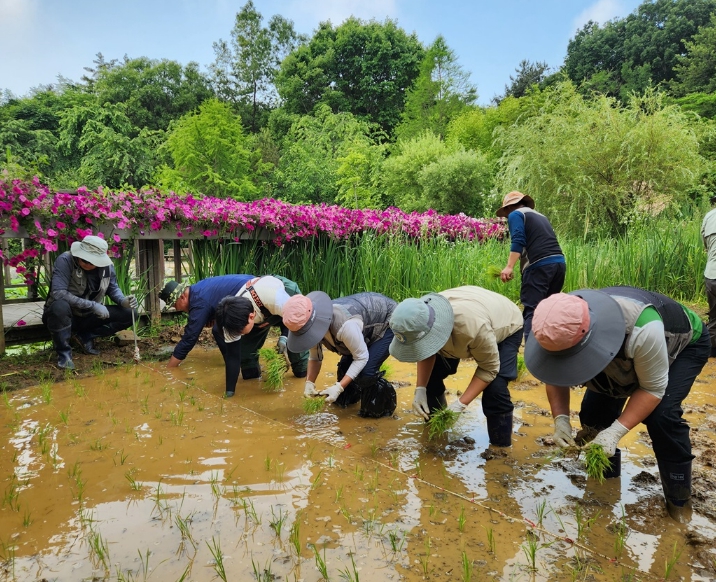 경기도립 바다향기수목원, 전 직원 참여 모내기 행사 개최…생태·문화 체험 프로그램 풍성