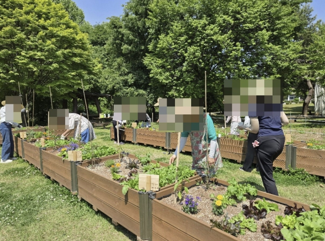 텃밭에서 찾은 회복의 힘…수원시농업기술센터 암생존자 치유농업서비스 호응