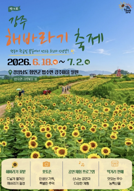 '수십만 송이 해바라기가 보여주는 황금빛 여름'…함안군, 제14회 강주해바라기 축제 개최