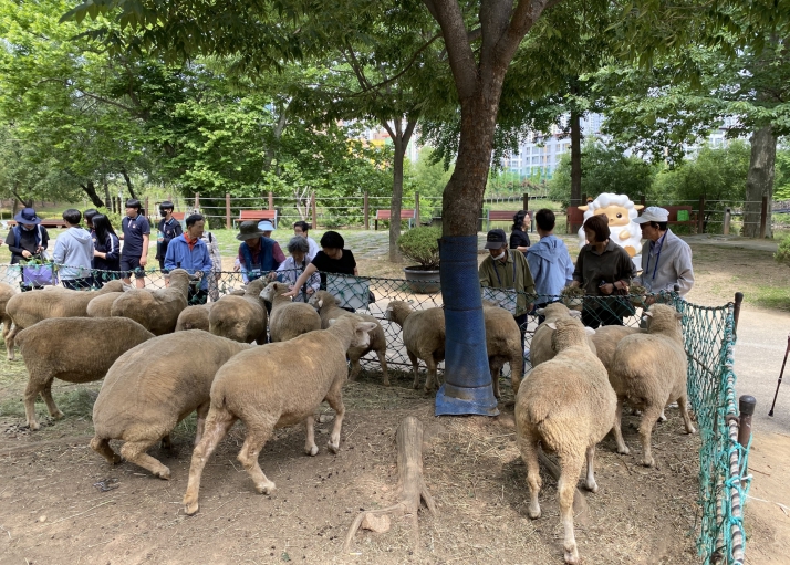 남동구 치매안심센터, 치매 환자와 함께하는 ‘푸른 숲 힐링 나들이’