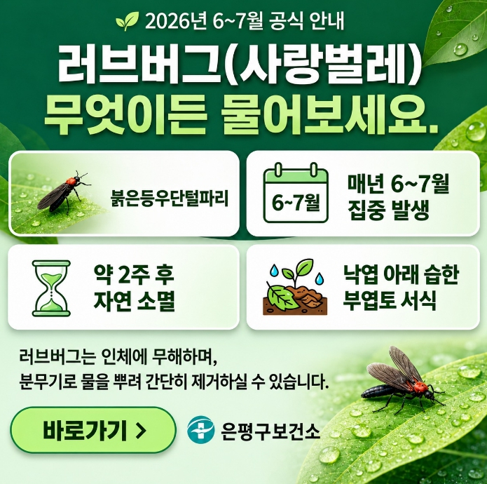 은평구, 러브버그 대응 체계 강화…주민 불편 최소화 나선다